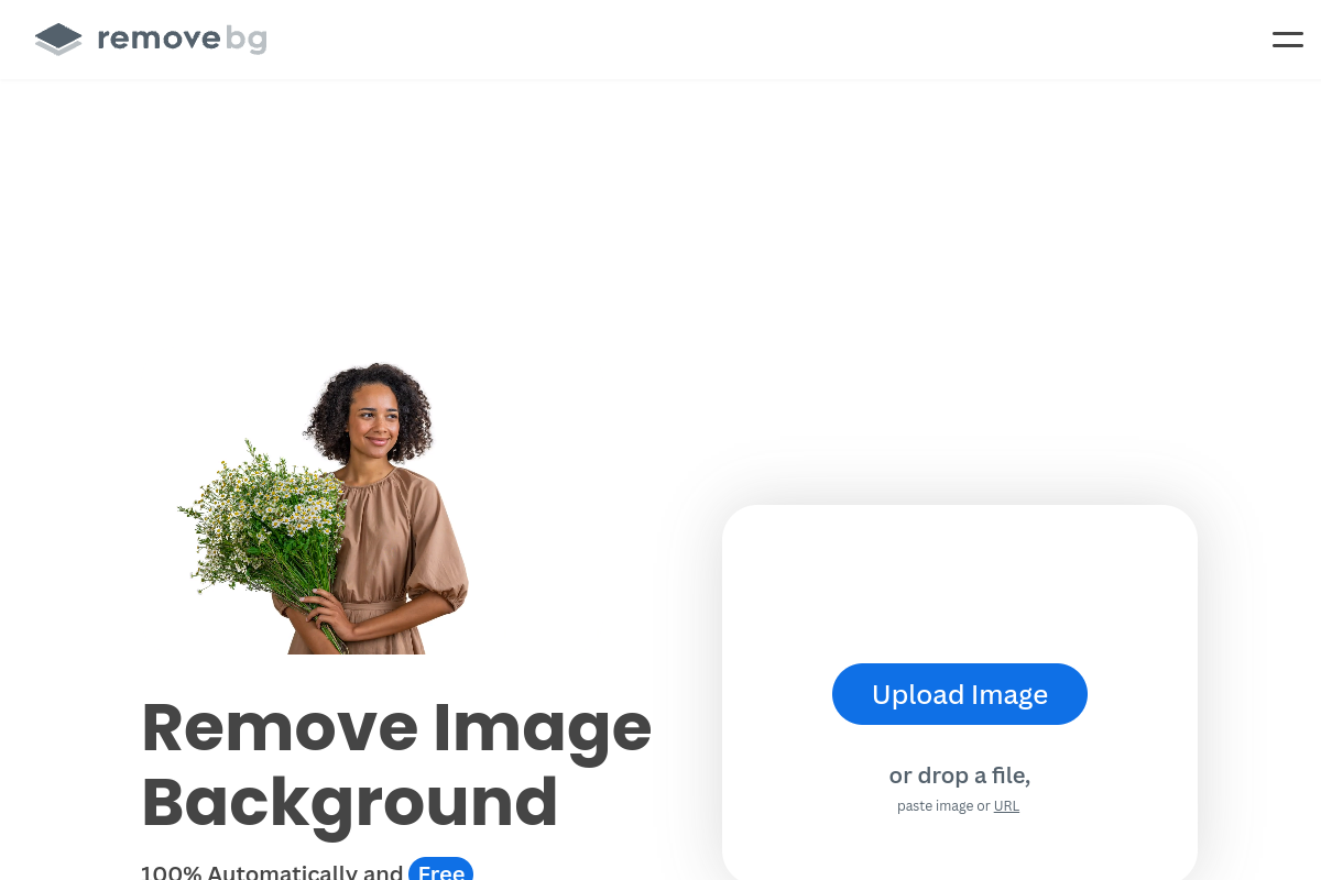 remove.bg interface screenshot